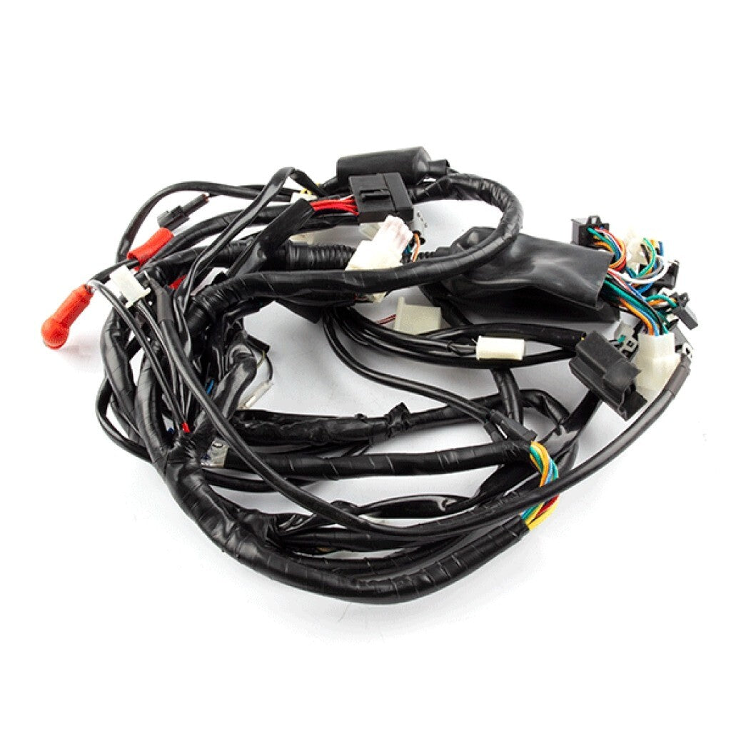 Brand New Wiring Loom for Lexmoto Enigma 125 (ZS125T-48) WRLM181