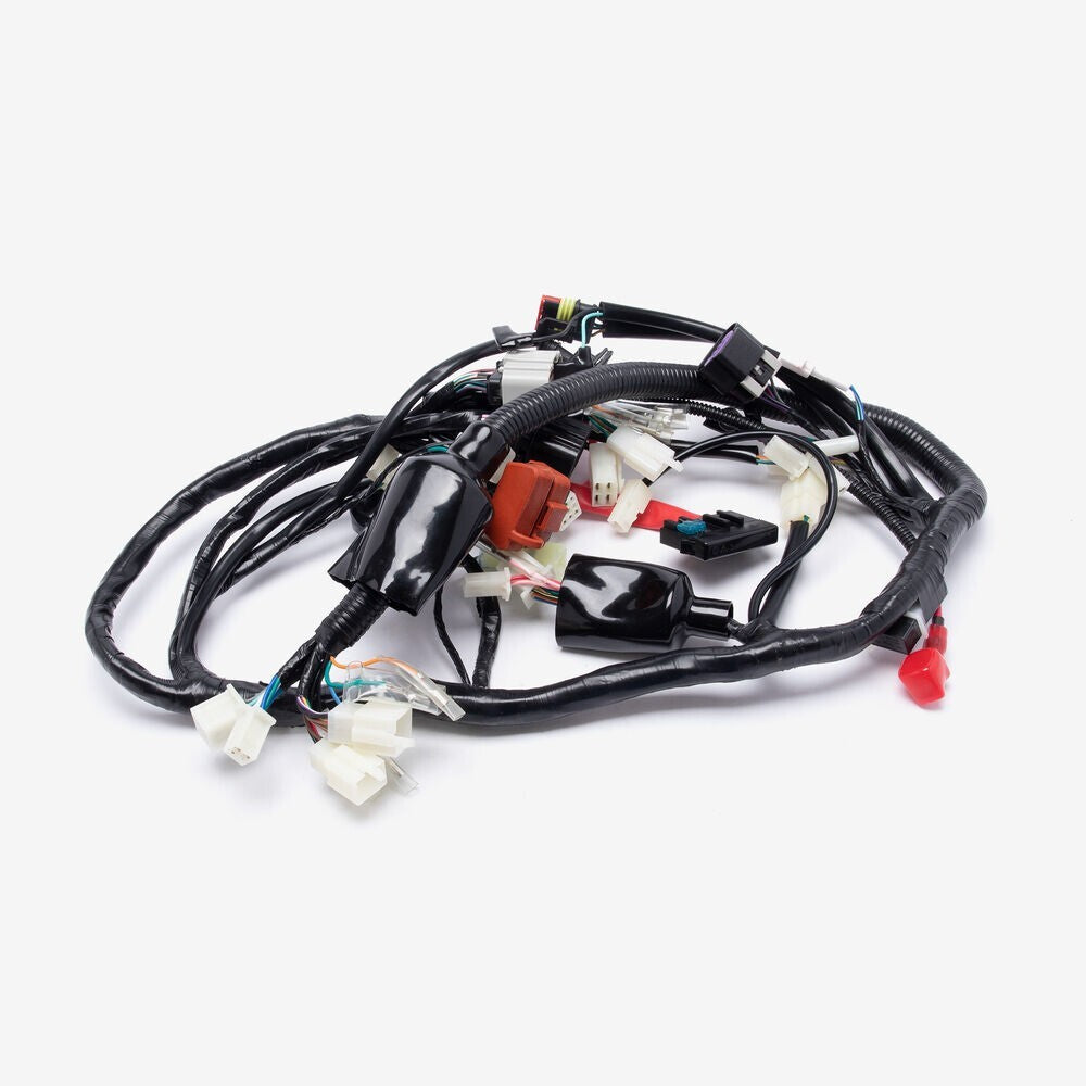Brand New Wiring Loom for Lexmoto Assault 125 Euro 5 ( HJ125-J-E5 ) WRLM276