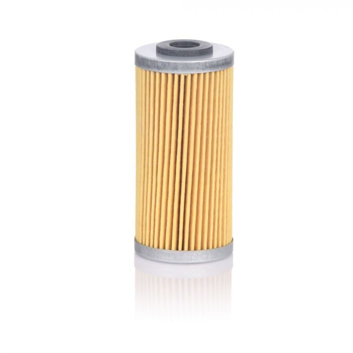 Genuine Filtrex Paper Oil Filter BMW G450 X #068 - OEM 11 42 7 715 456 - HF611