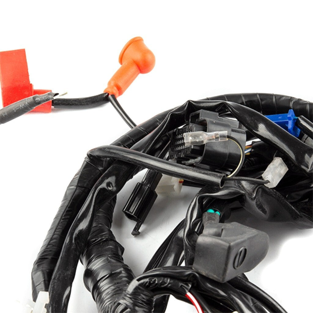 Brand New Wiring Loom for Lexmoto Enigma 125 (ZS125T-48) WRLM181