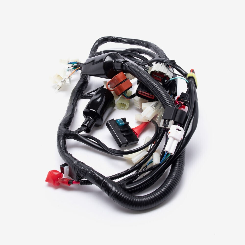 Brand New Wiring Loom for Lexmoto Assault 125 Euro 5 ( HJ125-J-E5 ) WRLM276