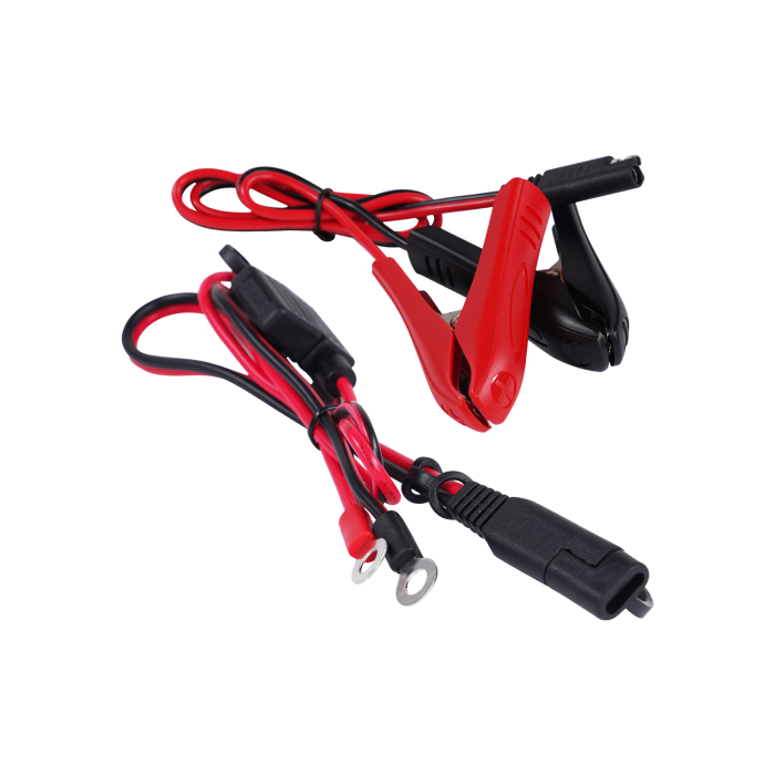 Bike It Guardian Pro 2 Intelligent Lithium Battery Charger Maintainer 6 & 12v