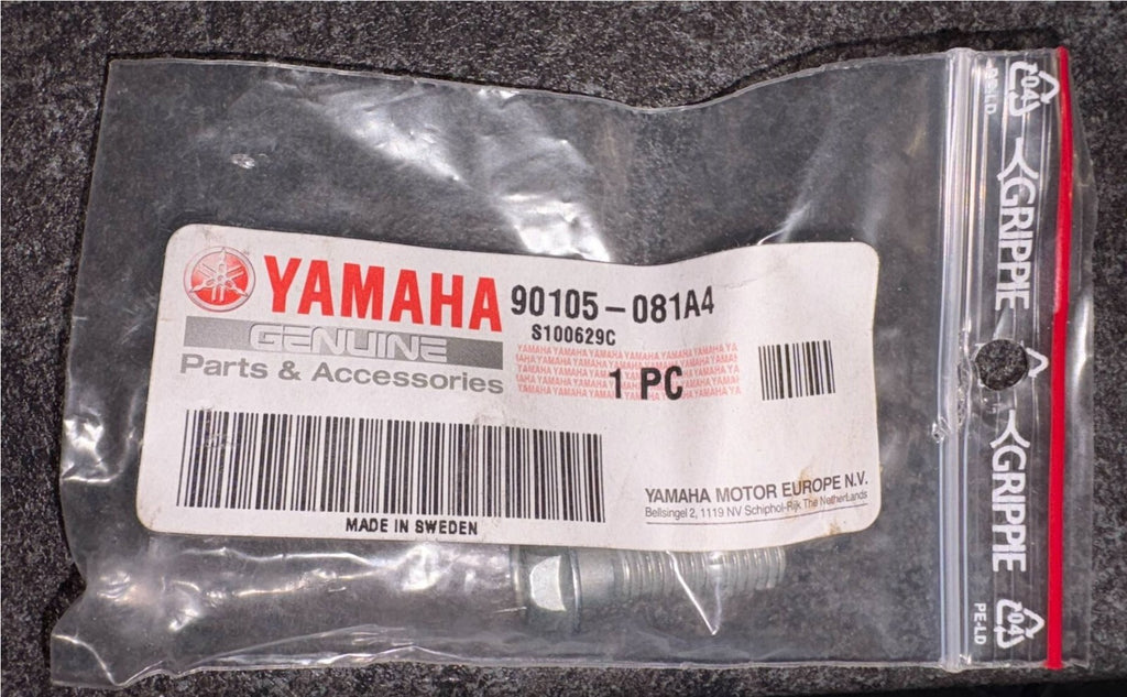 Genuine Yamaha Single Bolt Flange FZS600 Screw Rear Footrest - 90105-081A4-00