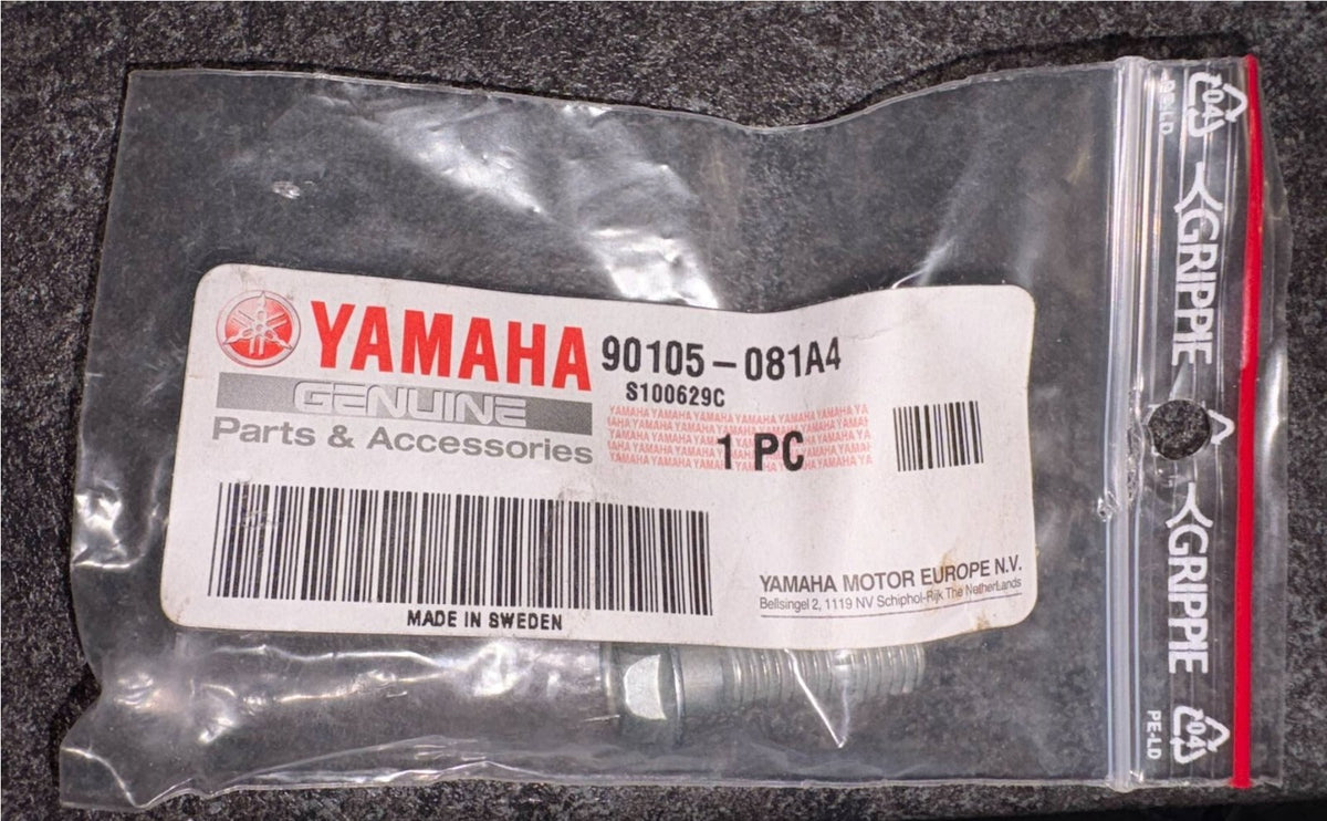 Genuine Yamaha Single Bolt Flange FZS600 Screw Rear Footrest - 90105-081A4-00