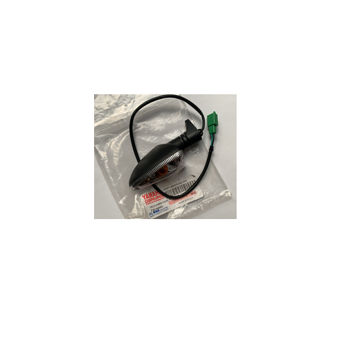 Yamaha New Genuine Front Right Complete Indicator 5D7-H3320-10