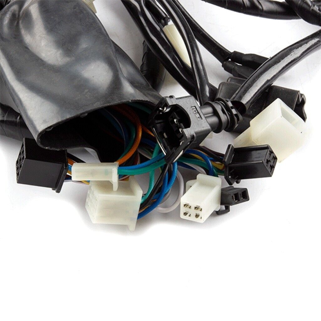 Brand New Wiring Loom for Lexmoto Enigma 125 (ZS125T-48) WRLM181